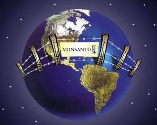 Monsanto o cómo matar a los españoles. Todo lo que el Gobierno no quiere que sepas.