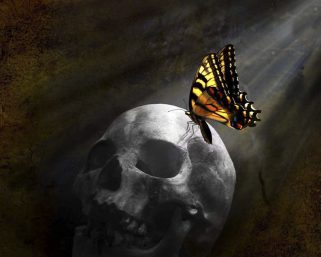 Entrevista a Cisco Wheeler, Victima del Programa MK-Ultra o Monarca