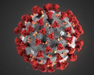 Hechos sobre el Covid-19