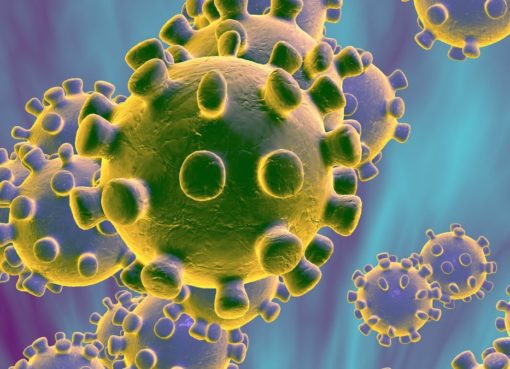 Viróloga experta en ébola, autismo y vacunas desmonta la “pandemia Covid19” y confinamiento