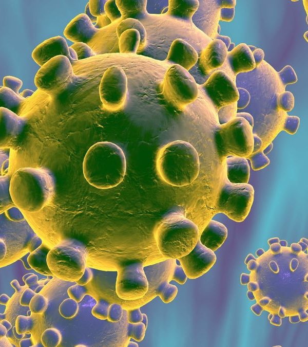 Viróloga experta en ébola, autismo y vacunas desmonta la “pandemia Covid19” y confinamiento